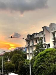 Cardiff Residence (D19), Condominium #570012561